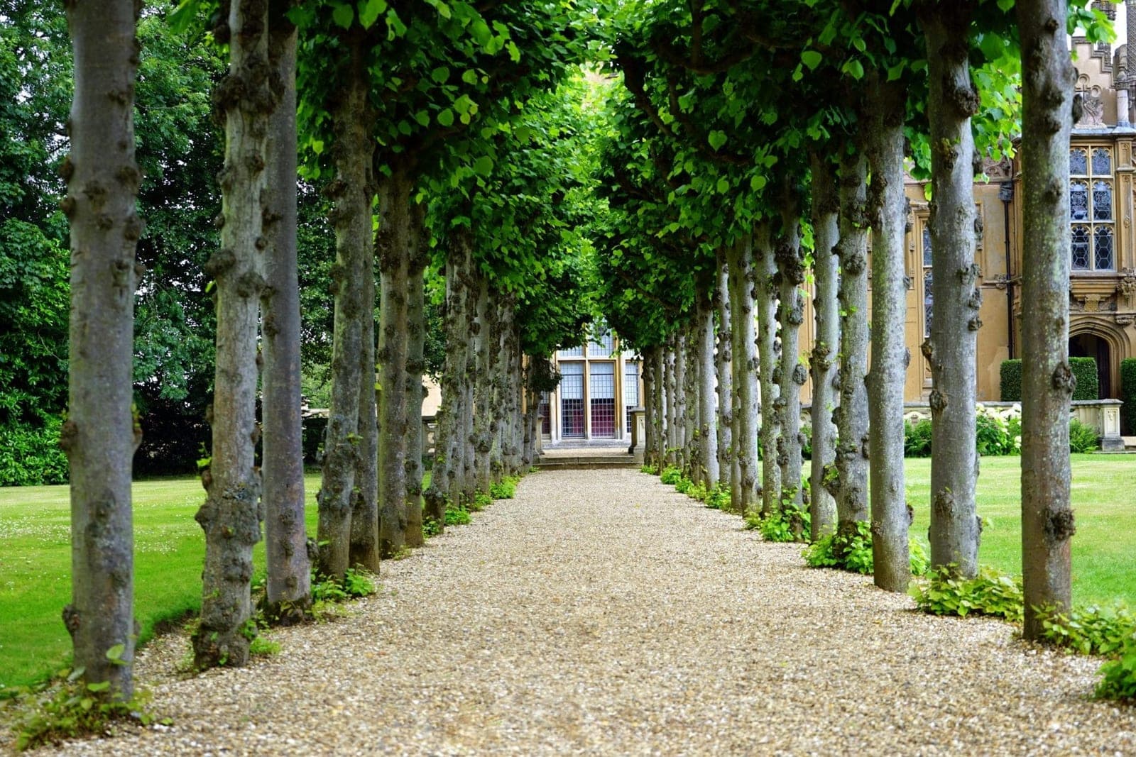gardens illustrated 2