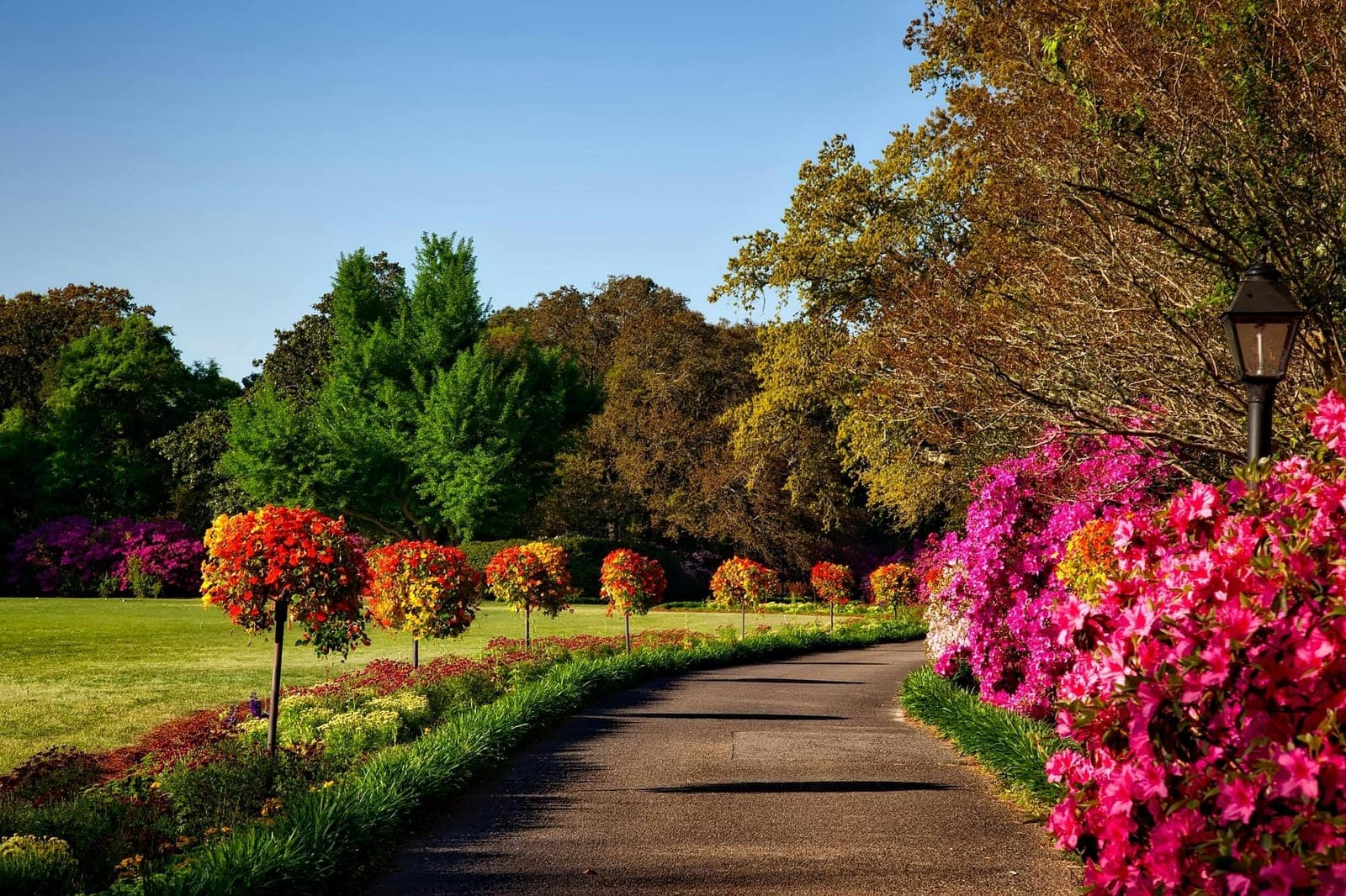gardens illustrated 3