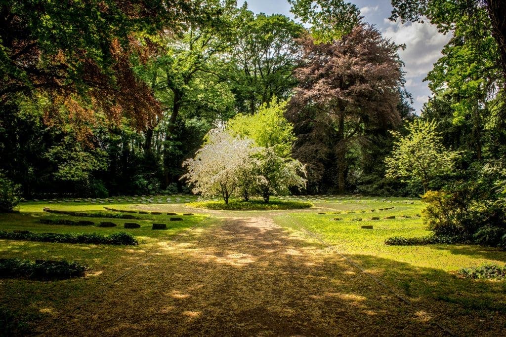 Gardens Illustrated — Members-Only Strapi Platform