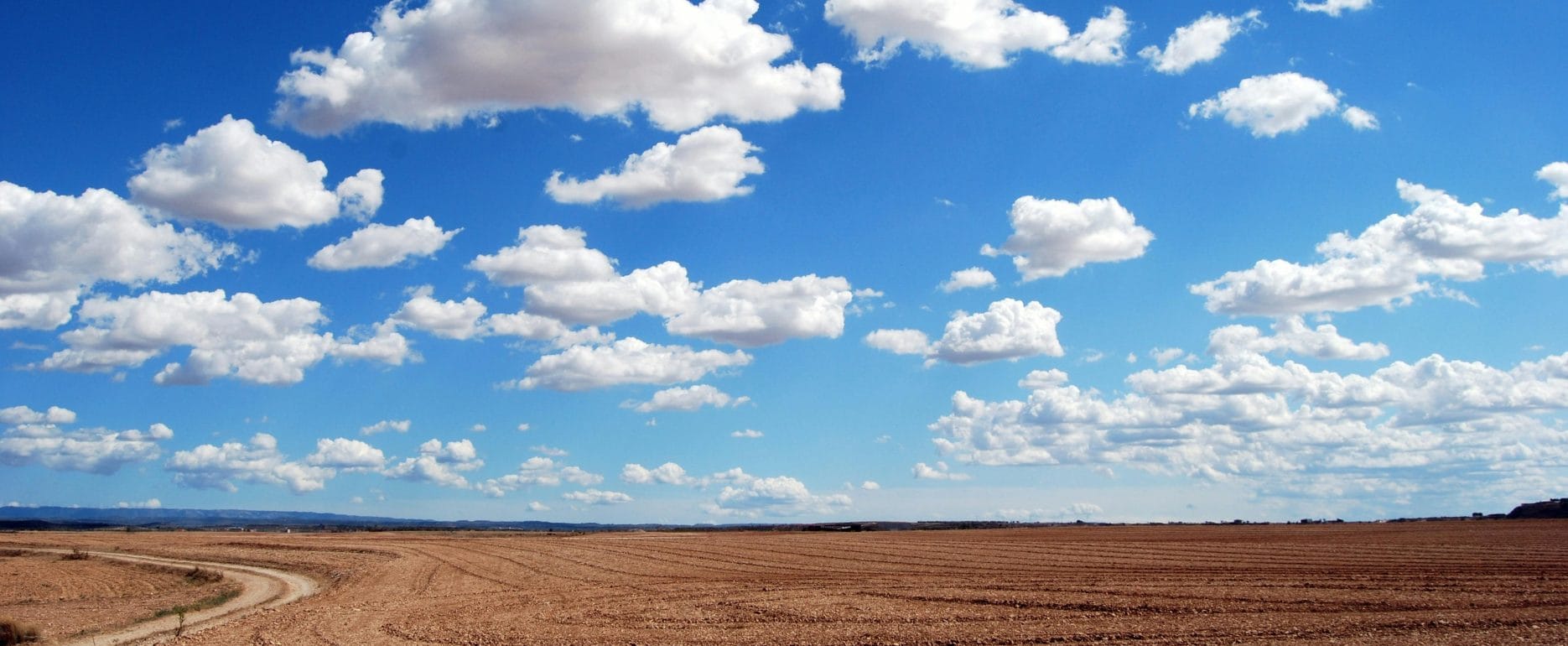 Featured BBC Discover Wildlife Image 2 A2ZTECH